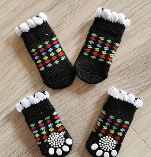 PET SOCKS DOTS COLOR